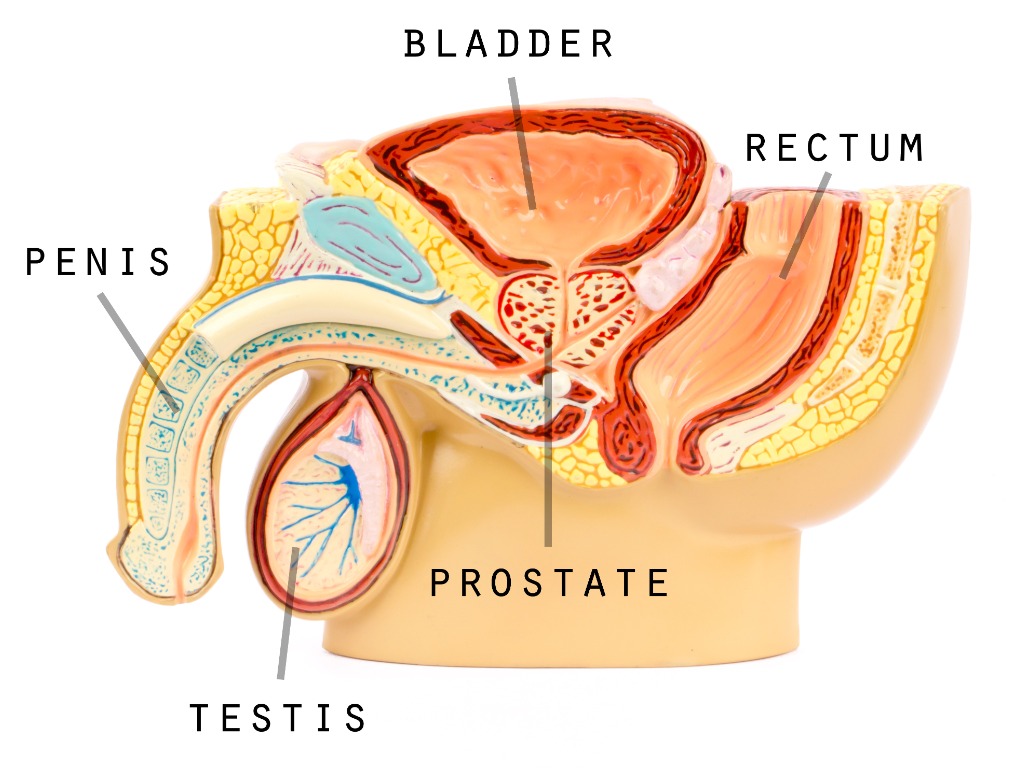 prostat-buyumesi-tedavisi