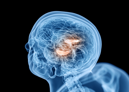 Gamma Knife Nedir?